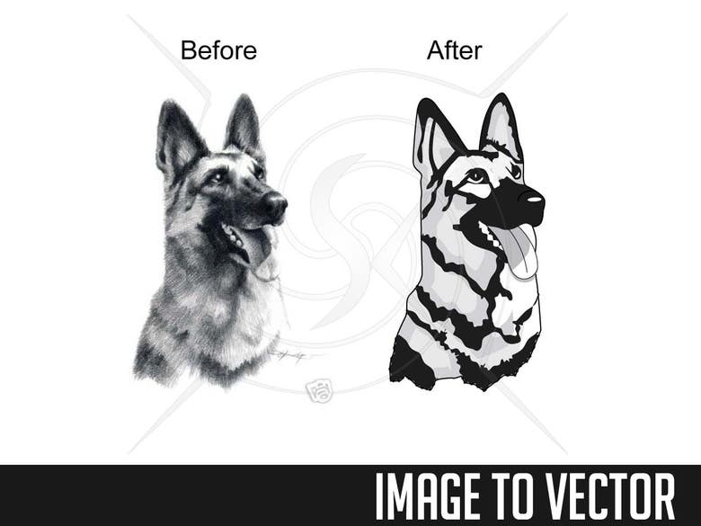 Image to cartoon style Vector