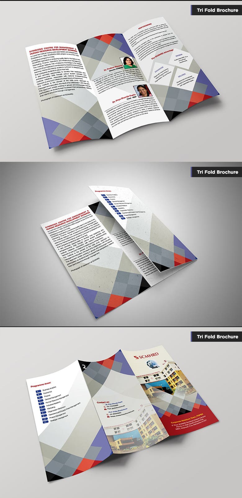 Tri Fold Brochure