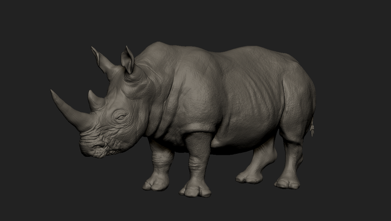 Rhino 3d scupt