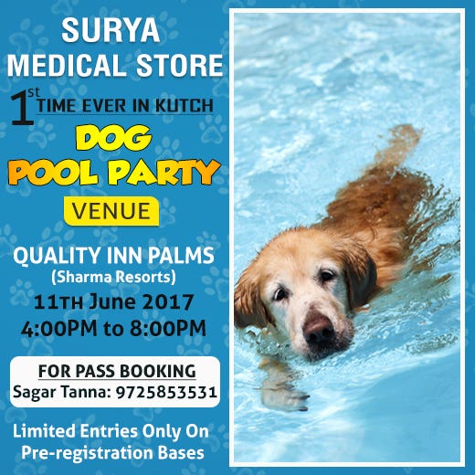 Banners for dogs pool Party