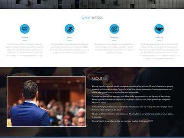 Website for a Consultancy Firm