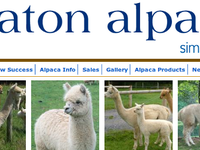 Caton Alpacas, Ashburton, Devon