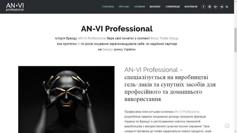 An-Vi Professional site