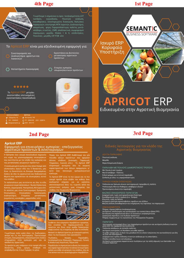 Business brochure for Semantic Business Softwares