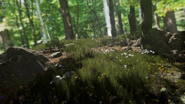 VR Forest
