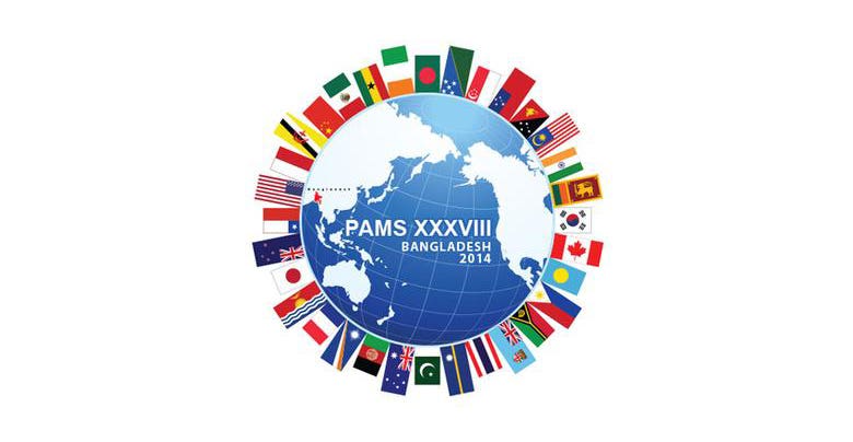 PAMS Logo and Web Project.