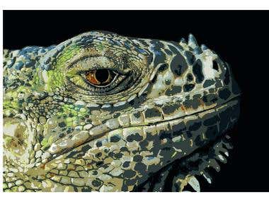 Lizard by Rachel Savage