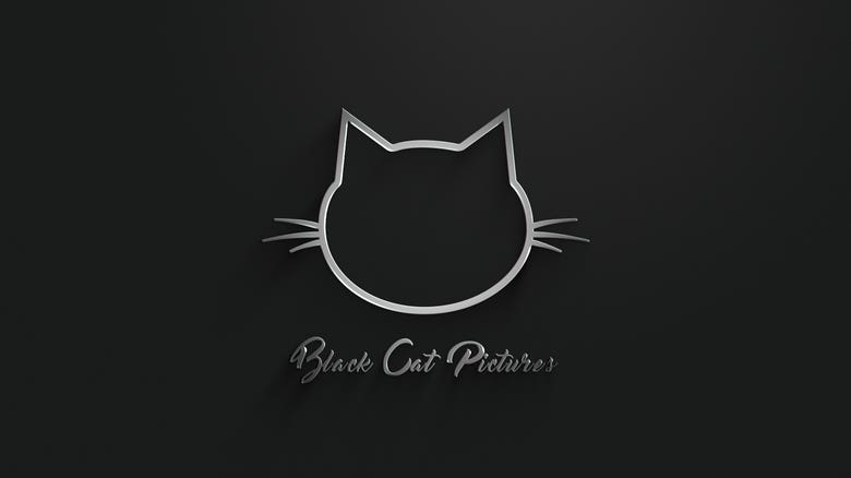 Black Cat Pictures (2016)