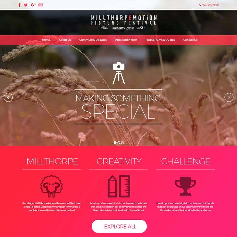 Website Design For Picture Festival