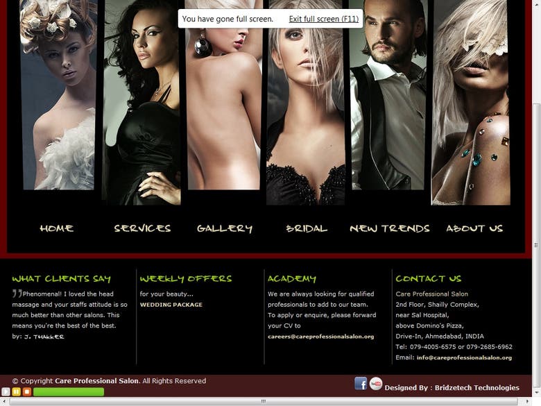 Care professional salon website from our company.