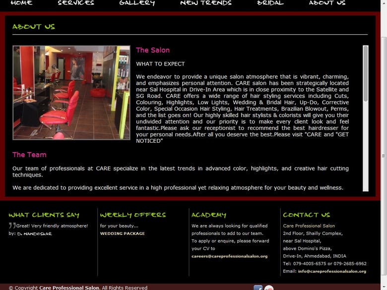 Care professional salon website from our company.