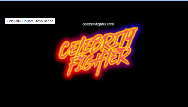 Celebrity Fighter