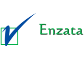 Enzata | Enrich your business with IT