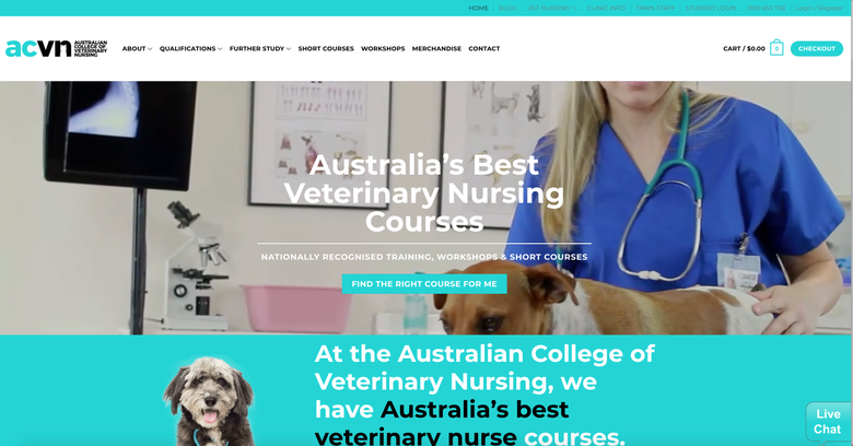 Development of veterinary website