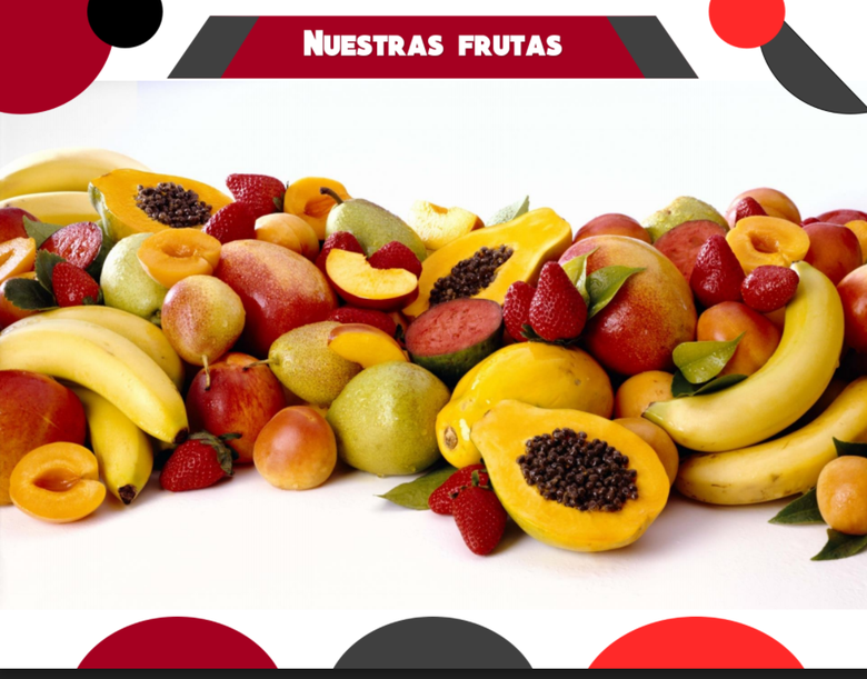Brochure Design | Fruits production & export