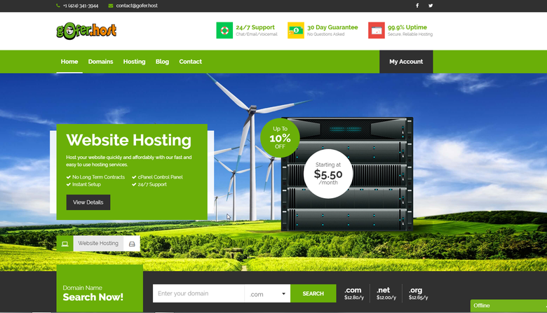 Web hosting website development