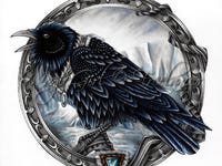 Mortrag Glacier Raven