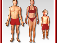 Body Types Flash Interactive
