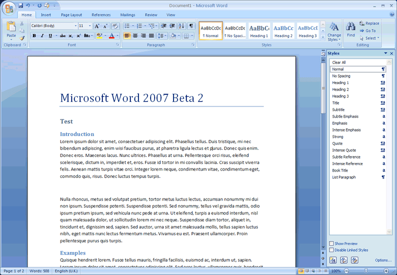 MS Word Writing and Services