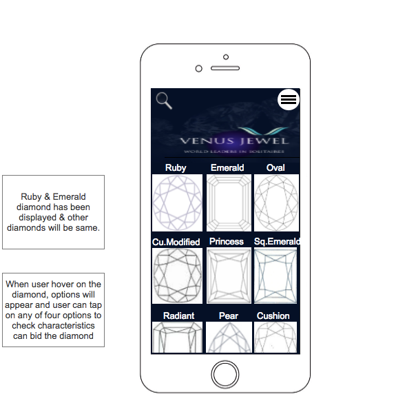 wireframes for Mobile Application