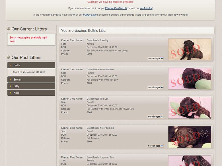Just Bull Terriers - Website Design & Development