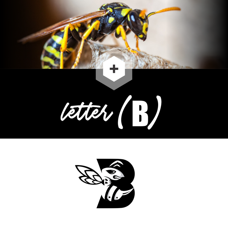 Logo letter "B" negative space