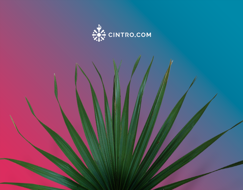 Cintro Website