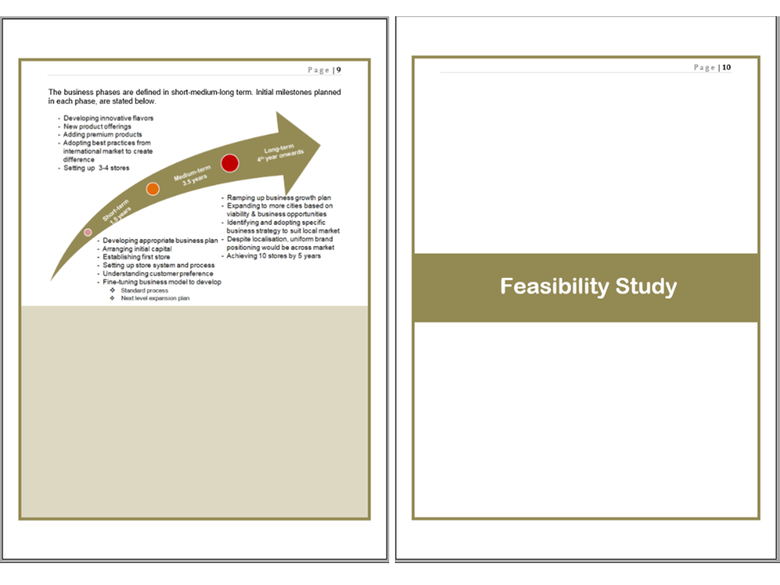 Business Plan + Feasibility Study
