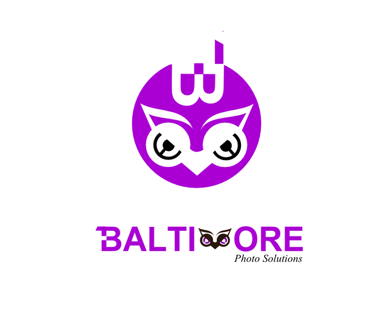 Baltimore logo design