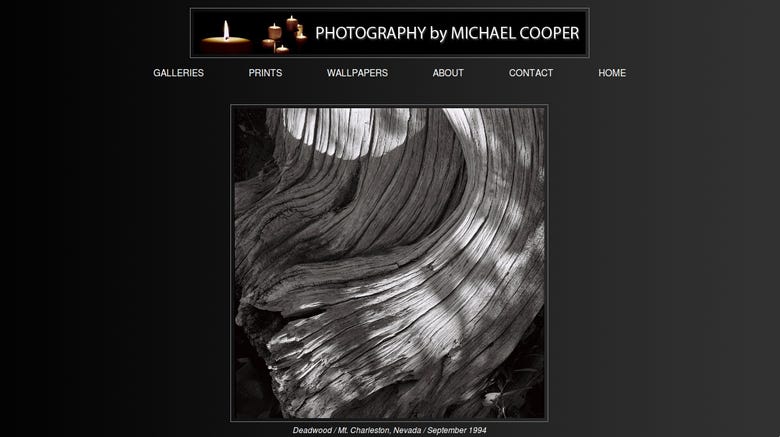 Photography by Michael Cooper