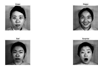 Facial Expression Recognition