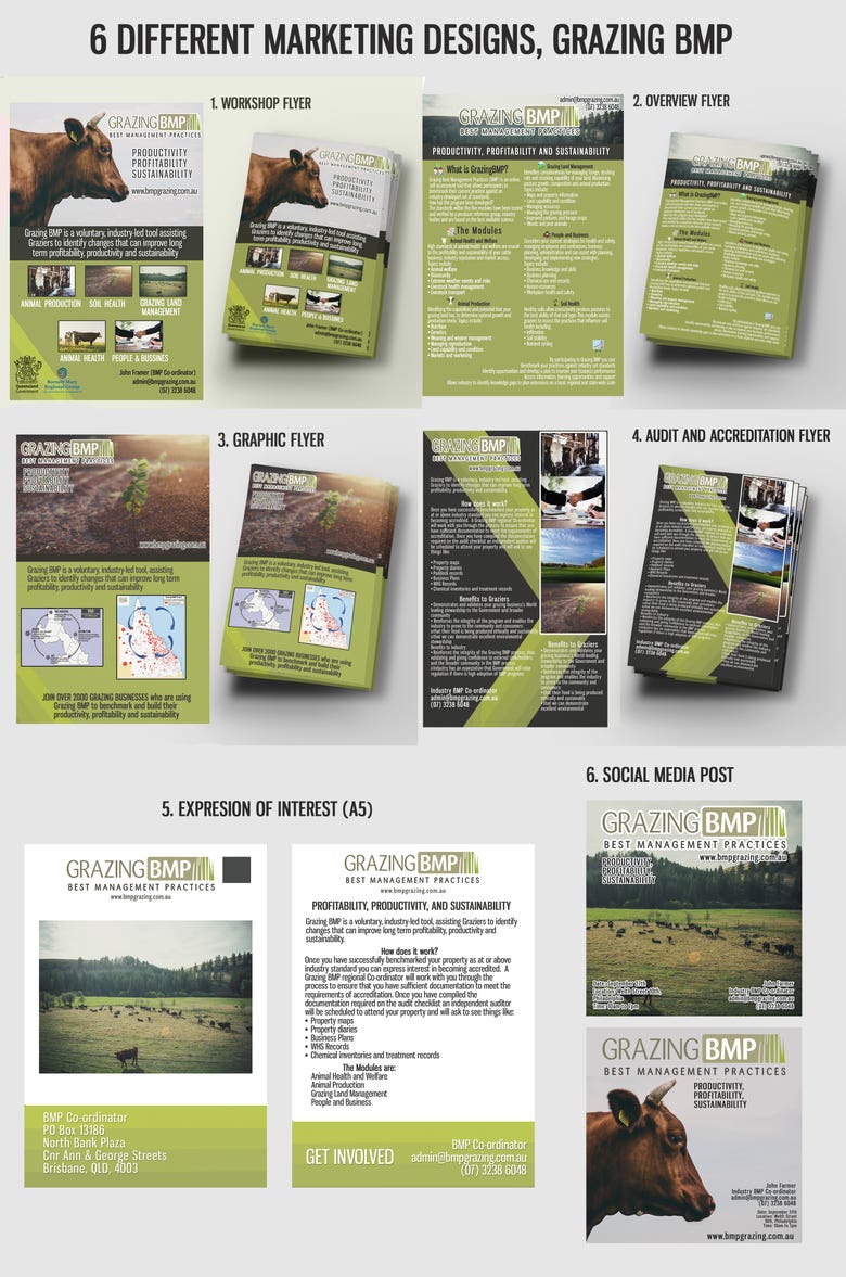 6 Flyers products for a Grazing Company