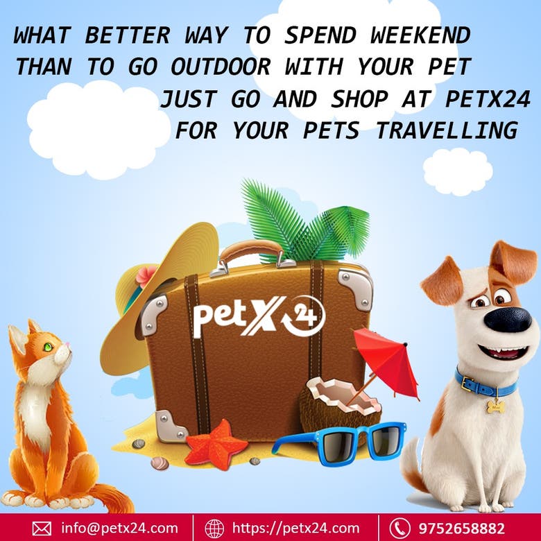 Graphic Image Designing For Petx 24