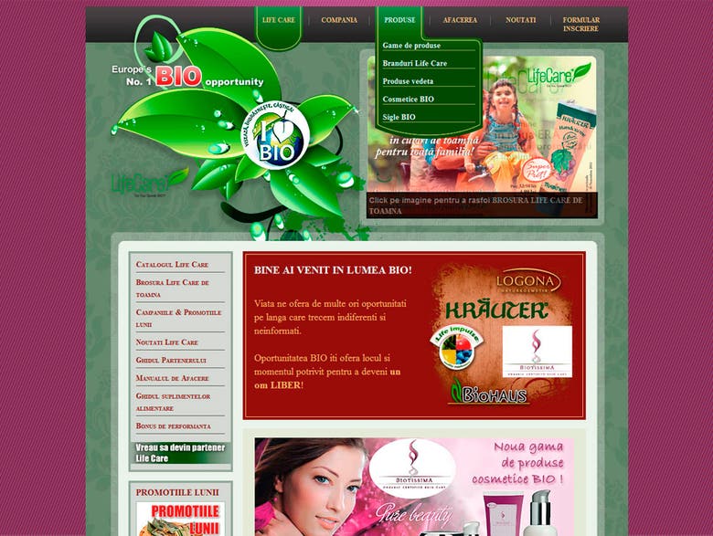 Webdesign - Corporate or Business Website