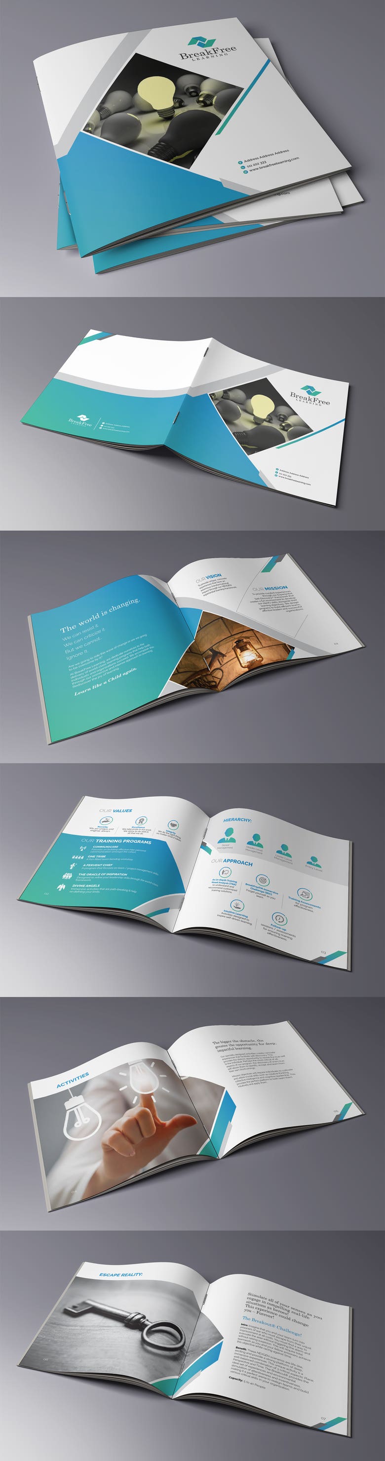 Bifold brochure Design