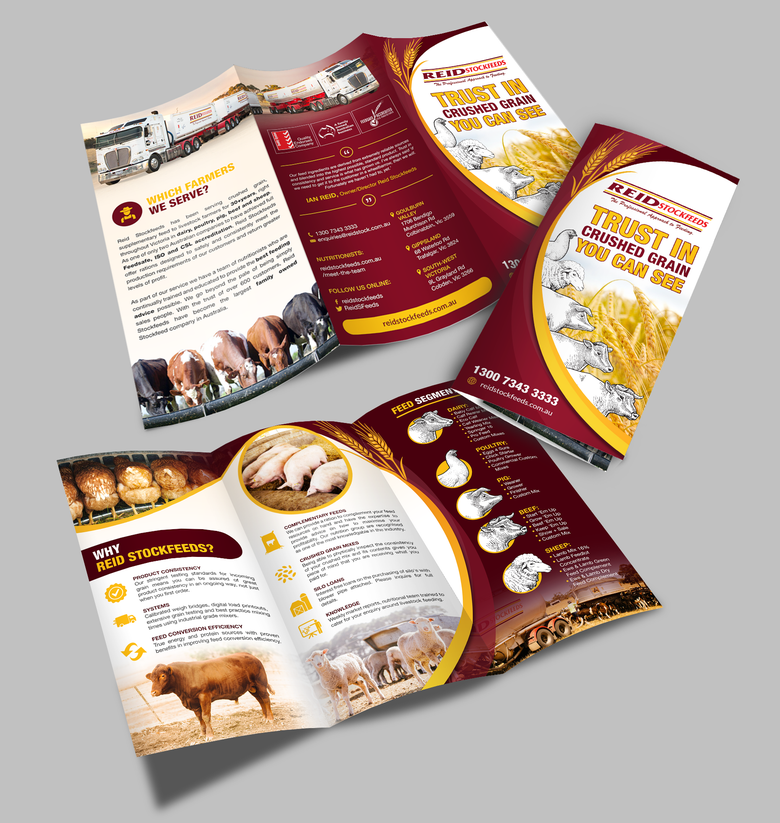 Trifold Brochure design