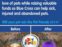 Pet Parade: Universal App