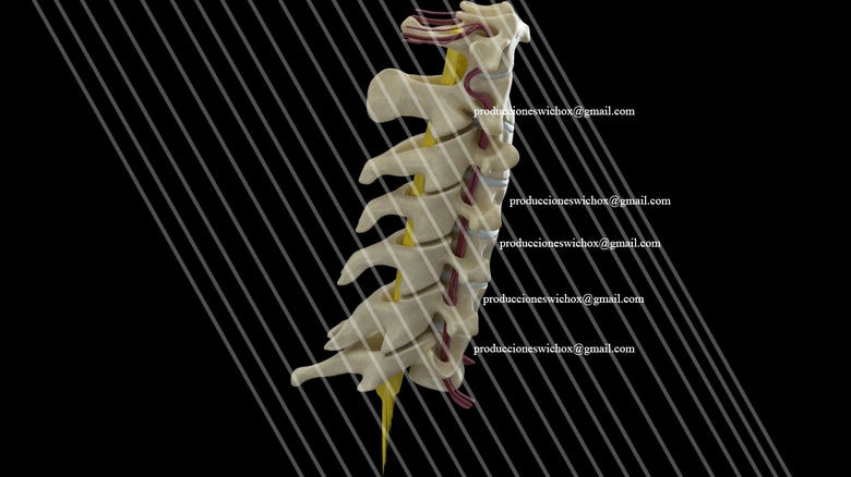 Renders from 3D Medical Animation