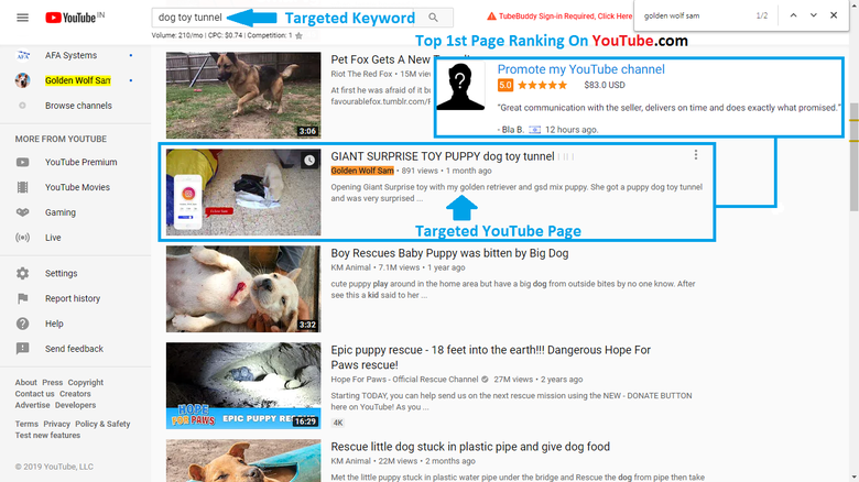 Top First Page Ranking On YouTube.com