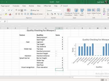 Excel Data entry & Presentation
