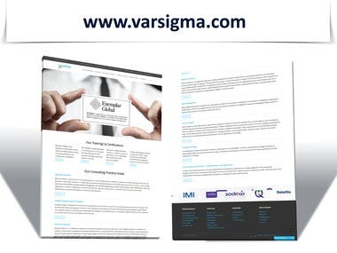 Consulting and Training Website Is Developed For Varsigma