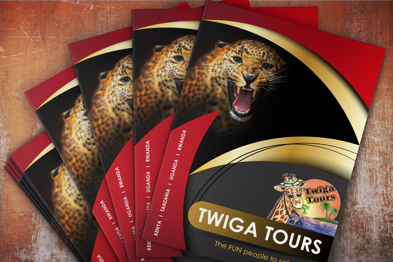 Poster, Flyer and Brochure Designs