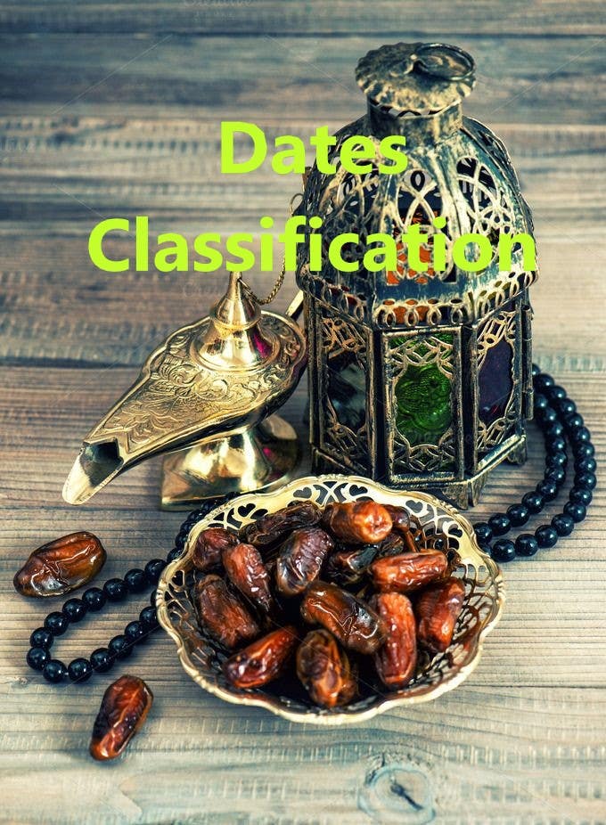 Dates Classification Using Android Application