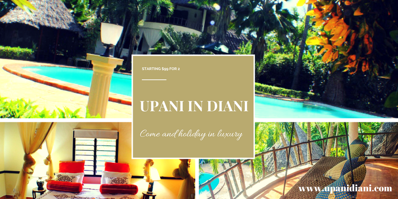 Accounting and Bookkeeping Support for Upani in Diani