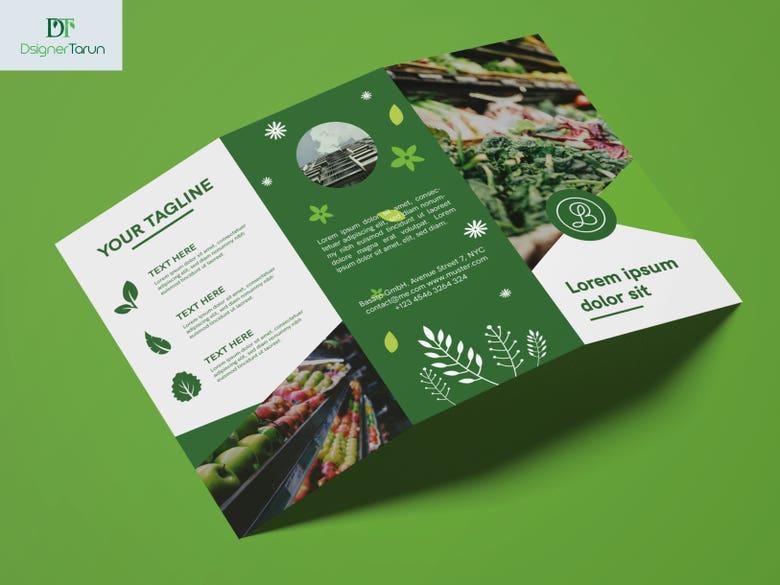Brochure & Flyer Design