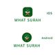 Ảnh thumbnail bài tham dự cuộc thi #61 cho                                                     I Need a Logo Designed For A mobile App Called What Surah
                                                