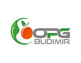 #30 ， Design for Company Logo  -  OPG Budimir 来自 bdghagra1
