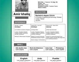 #8 for Design/Construct a Proffessional CV for me av mixgraphic
