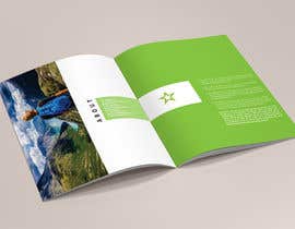 #14 Design a Full Page PDF Brochure &quot;white paper&quot; (Adobe InDesign) részére meenapatwal által