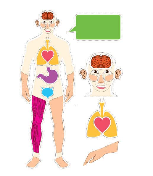 Participación en el concurso Nro.58 para                                                 Body graphic for book about body awareness
                                            
